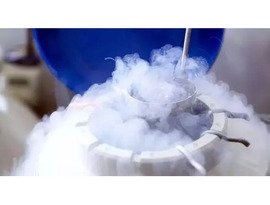 Egg Freezing in Hyderabad - MotherToBe