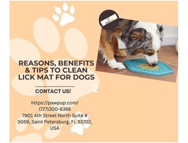 Benefits & Tips: Clean Lick Mat for Dogs