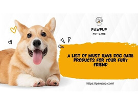 Must-Have Dog Care Products for Furry Friend