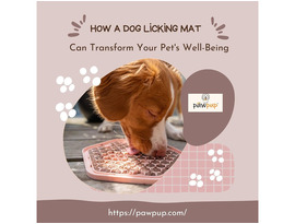 How a Dog Licking Mat Can Transform Your Pet’s Well-Being?