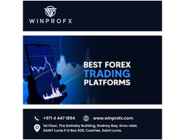 What Makes the Best Forex Trading Platform Stand Out