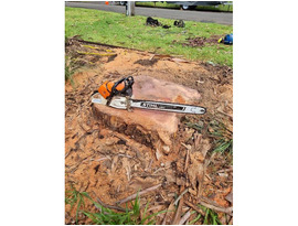 Stump Grinding North Shore