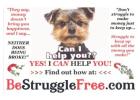 Achieve Financial Freedom This Holiday Season with Just 2 Hours a Day!