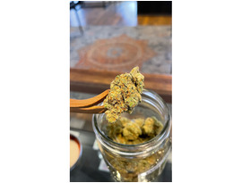 Your Ultimate Cannabis Travel Guide