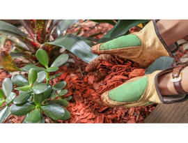 Wood Chipping Mulch Supply Northern Beaches  | Sam's Tree Services North Shore