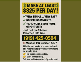 MAKE AT LEAST $325 PER DAY!