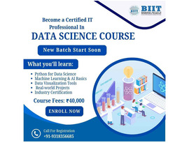 Best Online Data Science Certificate program near me