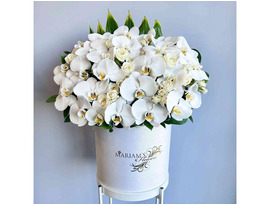 Buy White Roses Flower Bouquet Online for Every Special Occasion