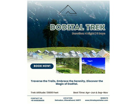 Dodital trek package