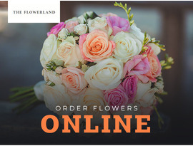 The FlowerLand