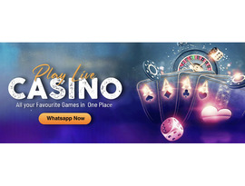 Reliable Online Betting Platform – Amiri Tiger