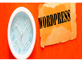 WordPress Development Services in Ahmedabad