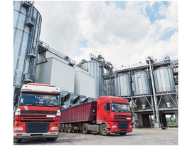 Fast International Freight Forwarding Service by Pros