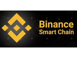 Binance Smart Chain development services