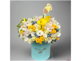 Shop Baby Boy Flower Arrangements for the Perfect Welcome Gift