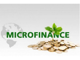 Fraud risk assessment in Microfinance