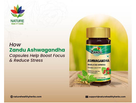How Zandu Ashwagandha Capsules Help Boost Focus And Reduce Stress