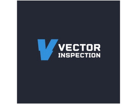 Vector Inspection