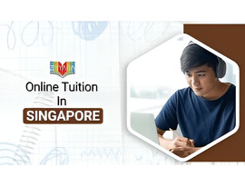 Online Tuition Singapore | One-on-One Expert Learning with Ziyyara