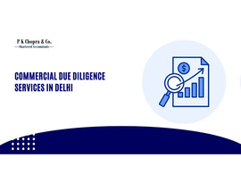 Professional Commercial Due Diligence Services in Delhi – Trusted Experts