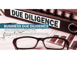 Professional Business Due Diligence for Investing in Microfinance Institutions
