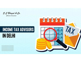 Experienced Income Tax Advisors in Delhi – Expert Tax Consultation