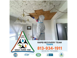 Restore Your Home’s Health with Tampa Mold Removal Experts