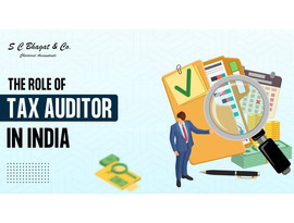 Looking for experienced Tax Auditors in India?
