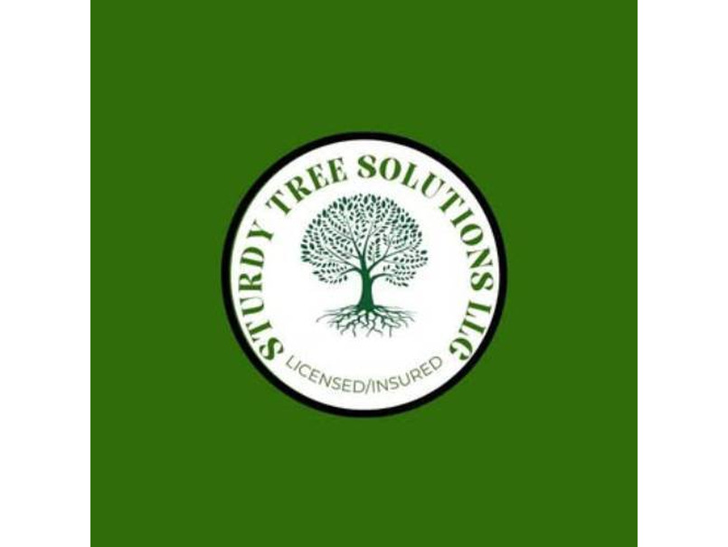Sturdy Tree Solutions LLC