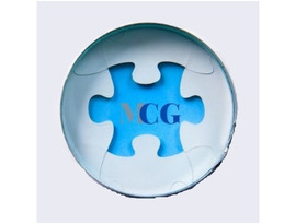 Mold Consultant Group