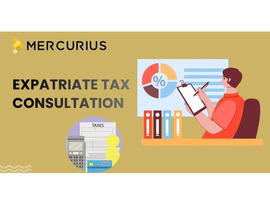 Advanced Expatriate Tax Consultation for Foreign Nationals Working in India