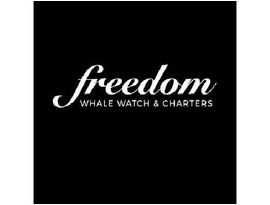 Freedom Ecotours Pty ltd