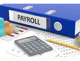 Trusted Payroll Provider in India for Accurate Salary Processing