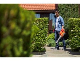 Trusted Lawn Service in Westerville, Ohio – Book Today