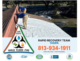 Dealing with water stains, ceiling drips, or sudden roof damage ?