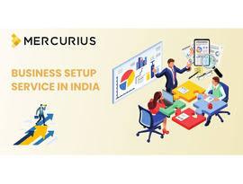 Corporate-Focused Business Setup Service in India